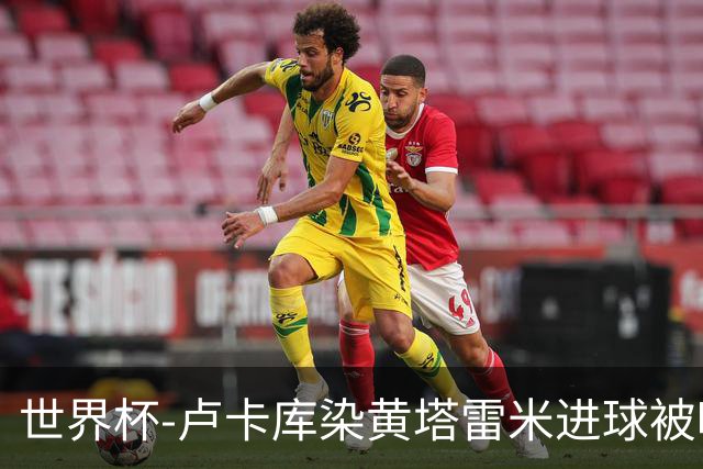 世界杯-卢卡库染黄塔雷米进球被吹 比利时半场0-0伊朗